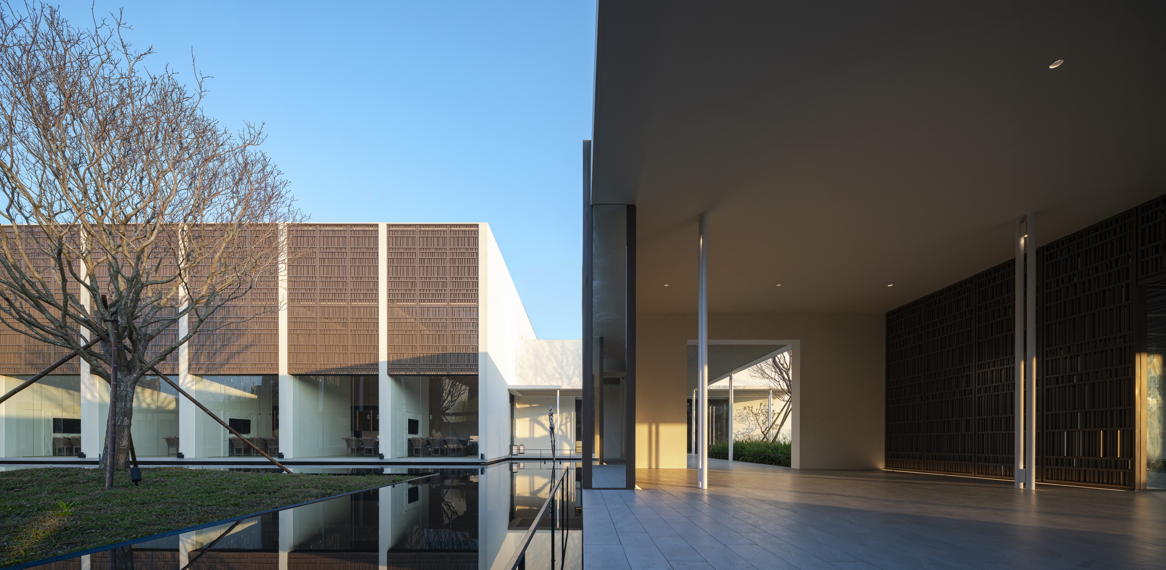 Hidden by Water, Revealed through Bamboo - FORWORL